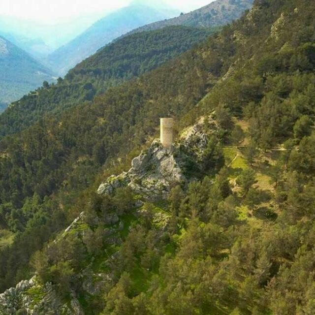 Séjour à la campagne Cortijo El Cercadillo *